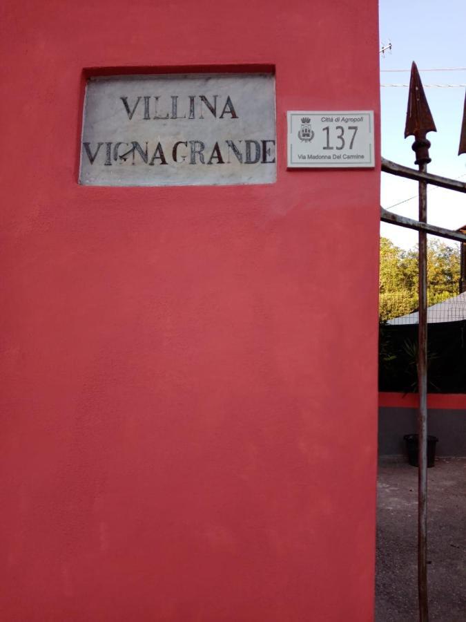 B&B Vigna Grande Agropoli Eksteriør billede