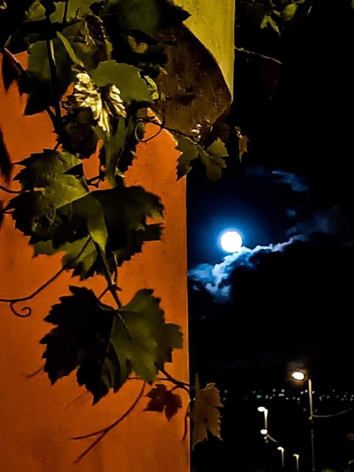 B&B Vigna Grande Agropoli Eksteriør billede